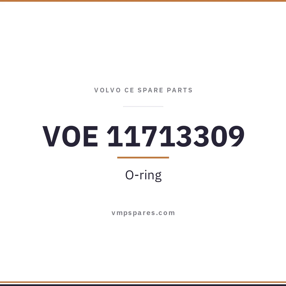 VOE 11713309 – O-ring
