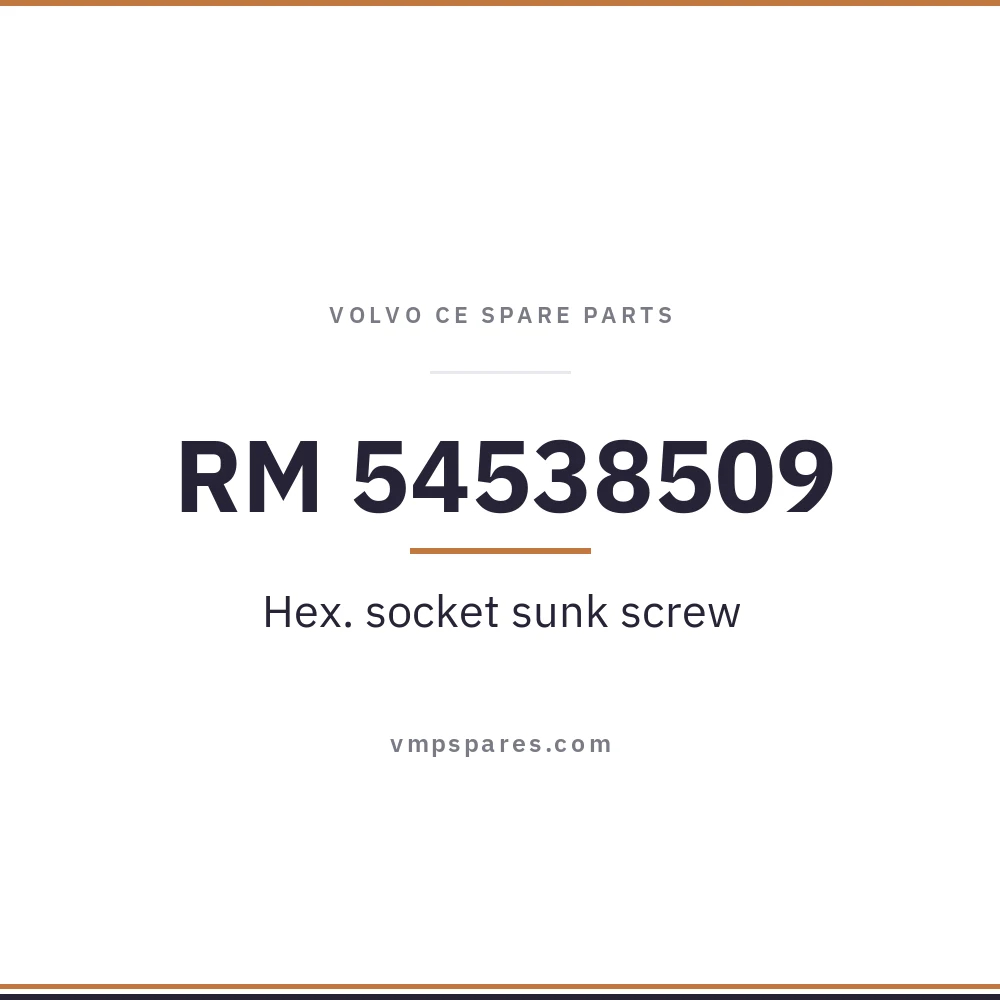 RM 54538509 – Hex. socket sunk screw