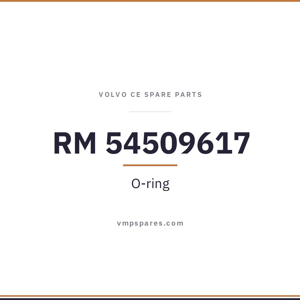 RM 54509617 – O-ring