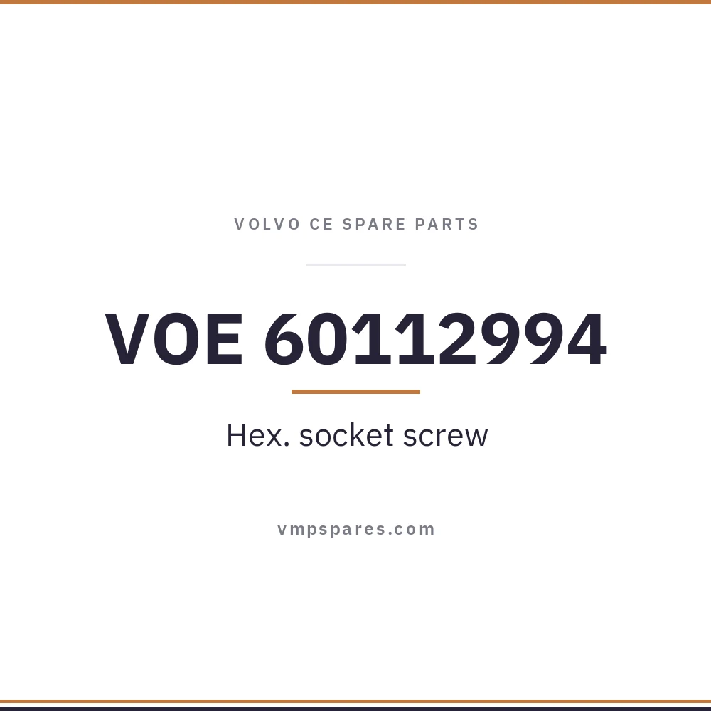 VOE 60112994 – Hex. socket screw