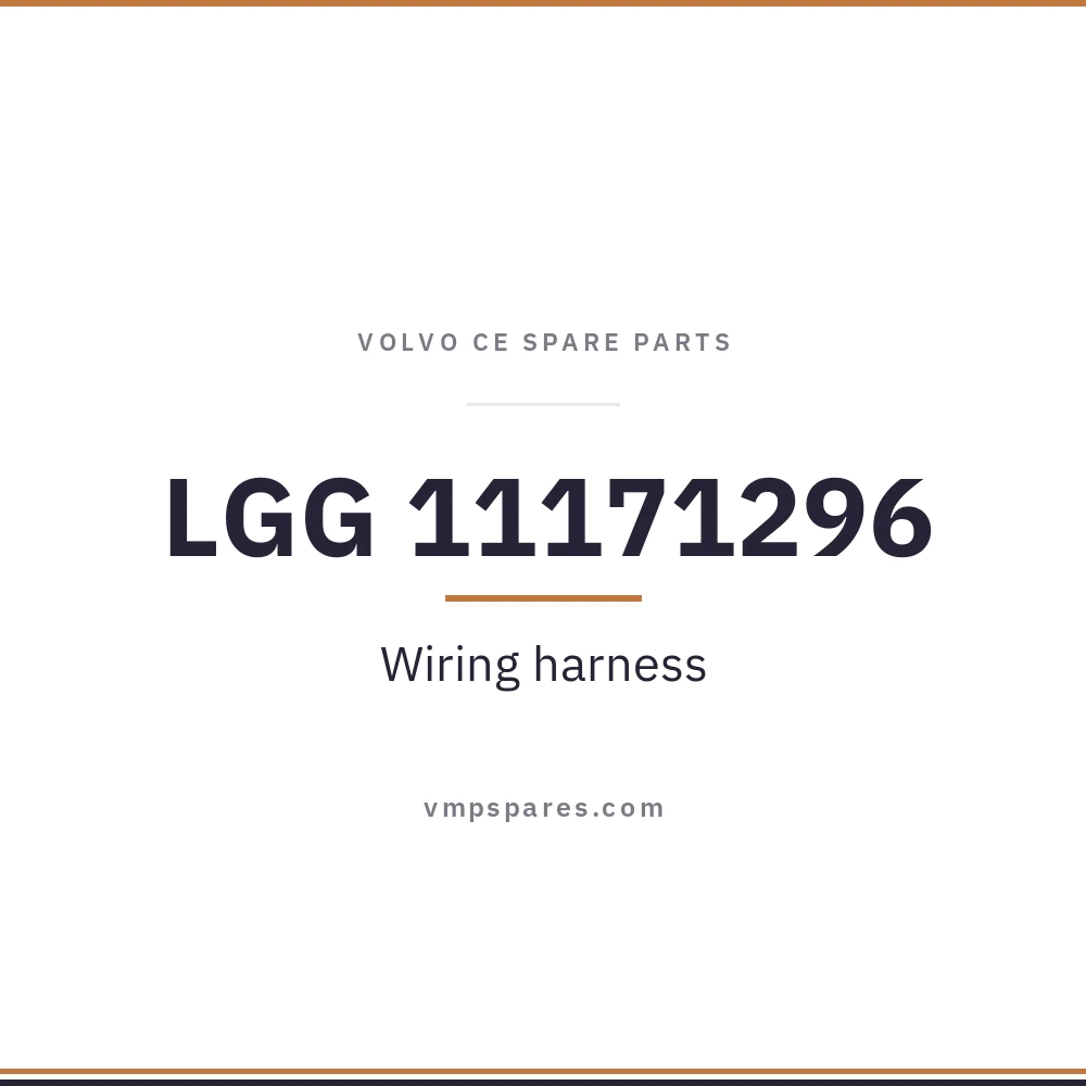 LGG 11171296 – Wiring harness