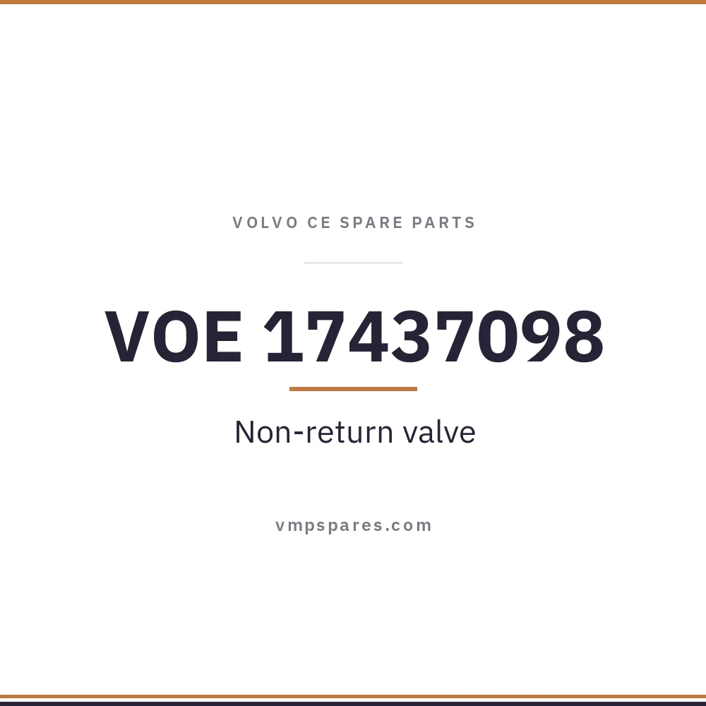 VOE 17437098 – Non-return valve