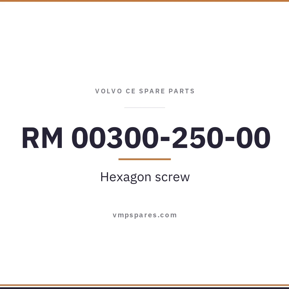 RM 00300-250-00 – Hexagon screw