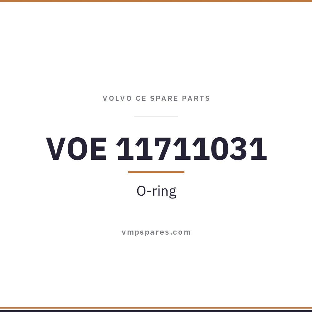 VOE 11711031 – O-ring