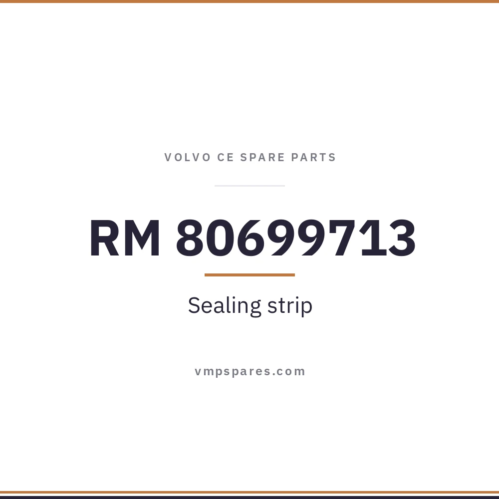 RM 80699713 – Sealing strip