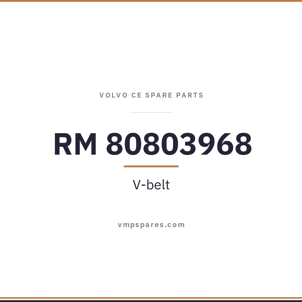 RM 80803968 – V-belt