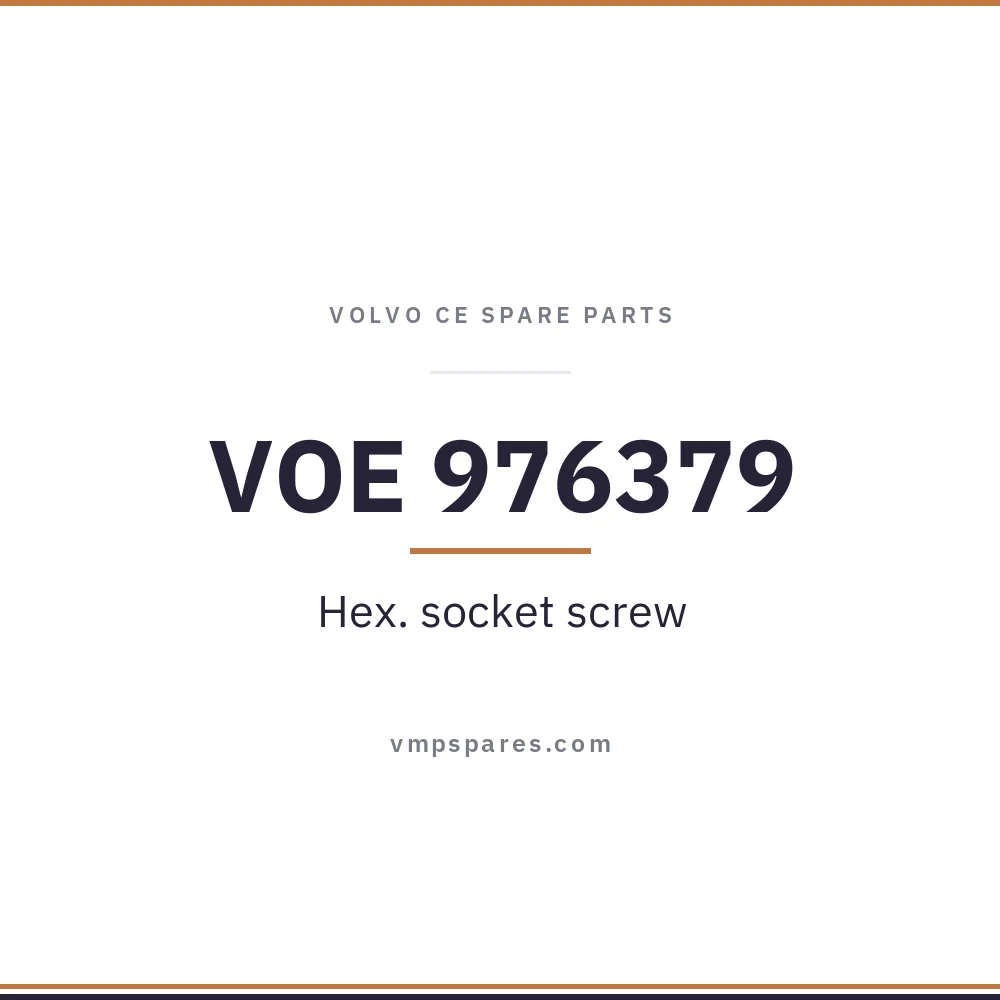 VOE 976379 – Hex. socket screw
