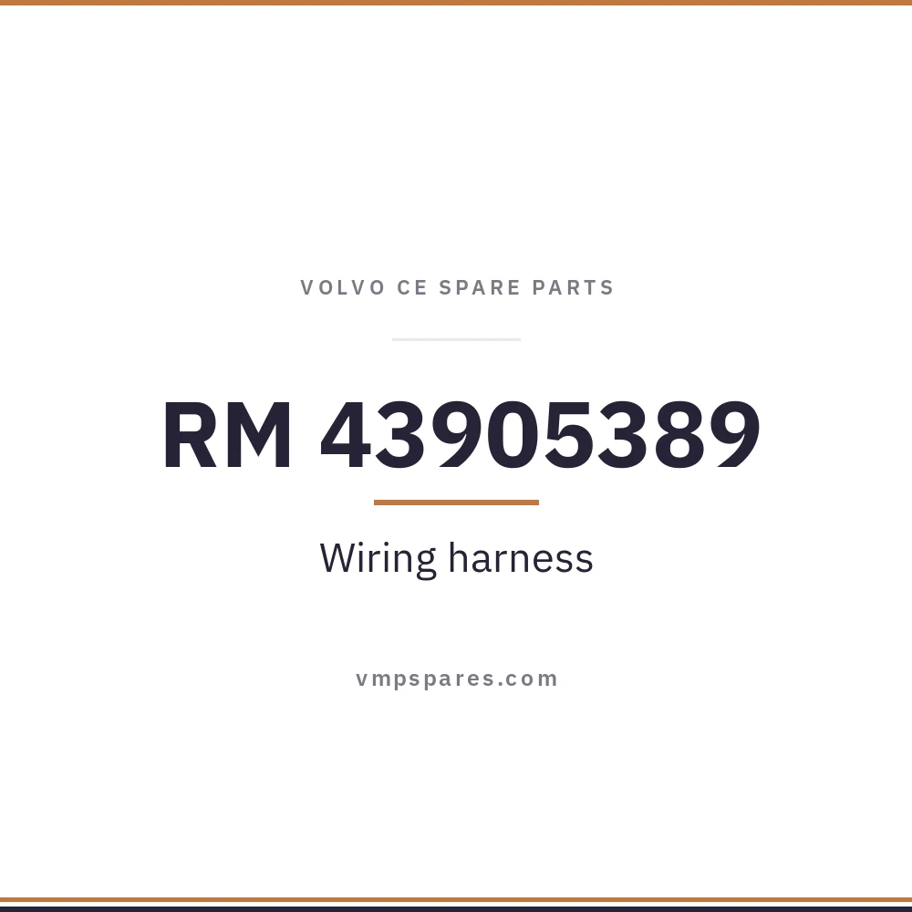 RM 43905389 – Wiring harness
