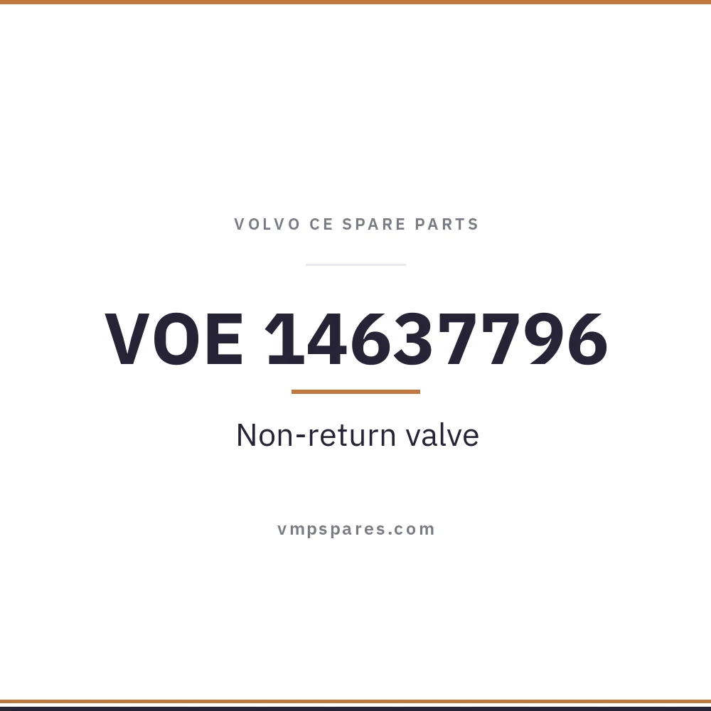 VOE 14637796 – Non-return valve