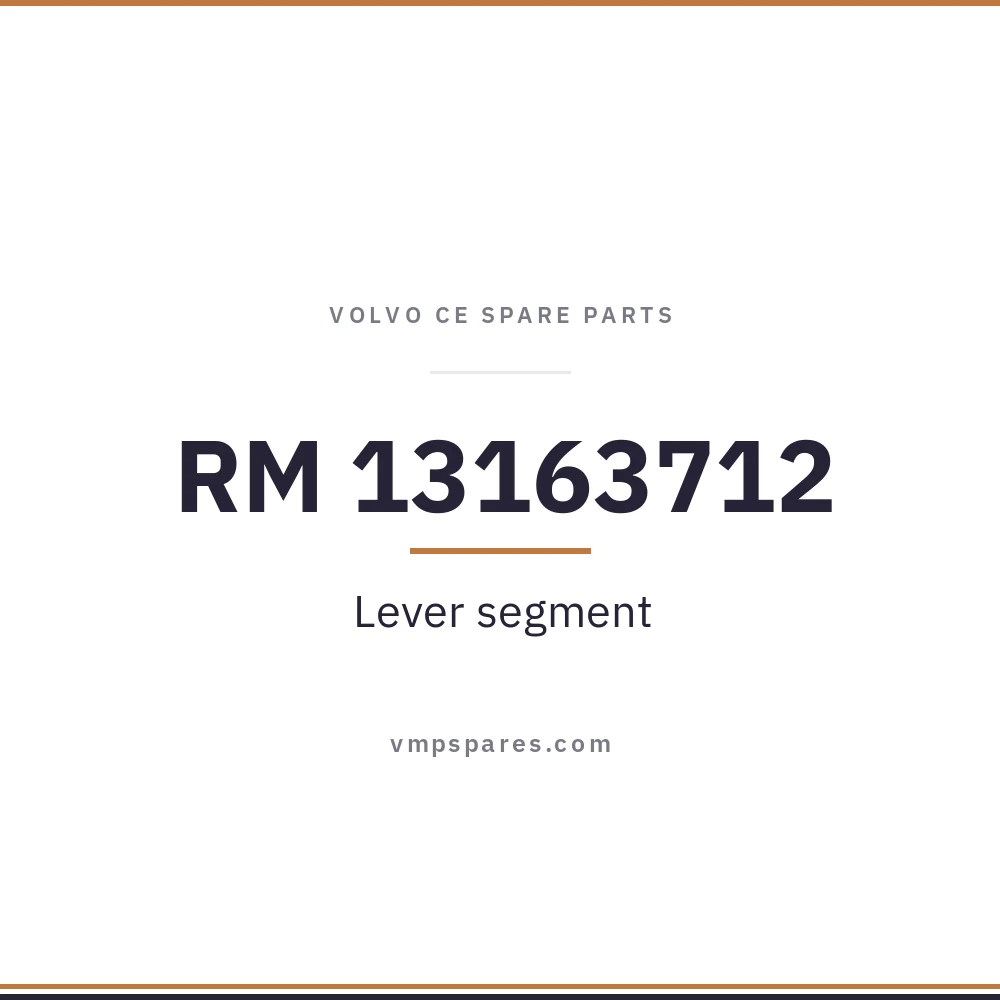 RM 13163712 – Lever segment