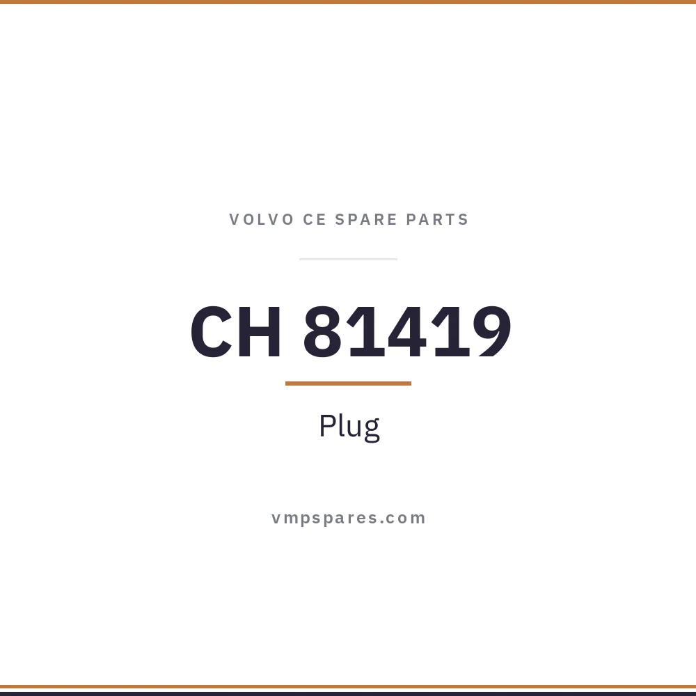 CH 81419 – Plug