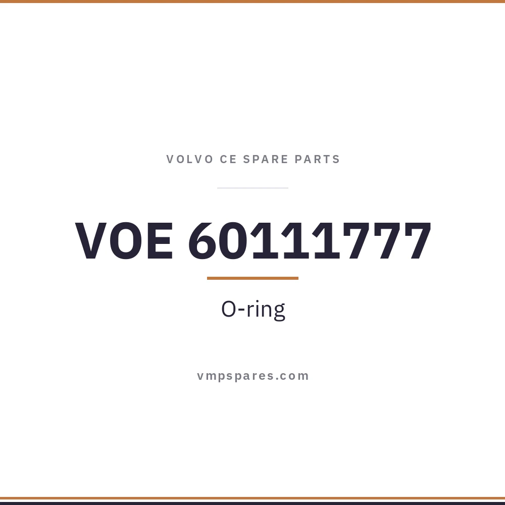 VOE 60111777 – O-ring