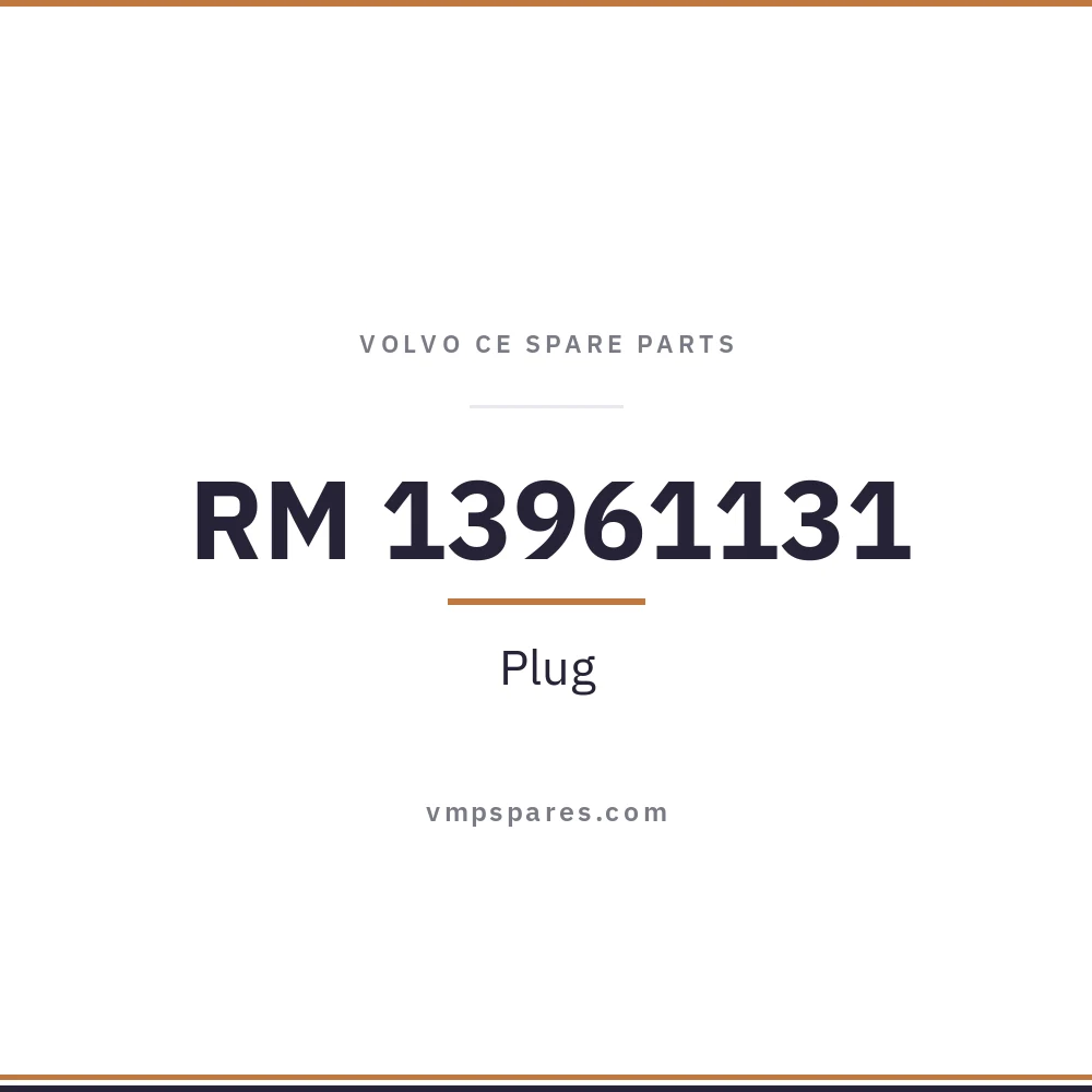 RM 13961131 – Plug