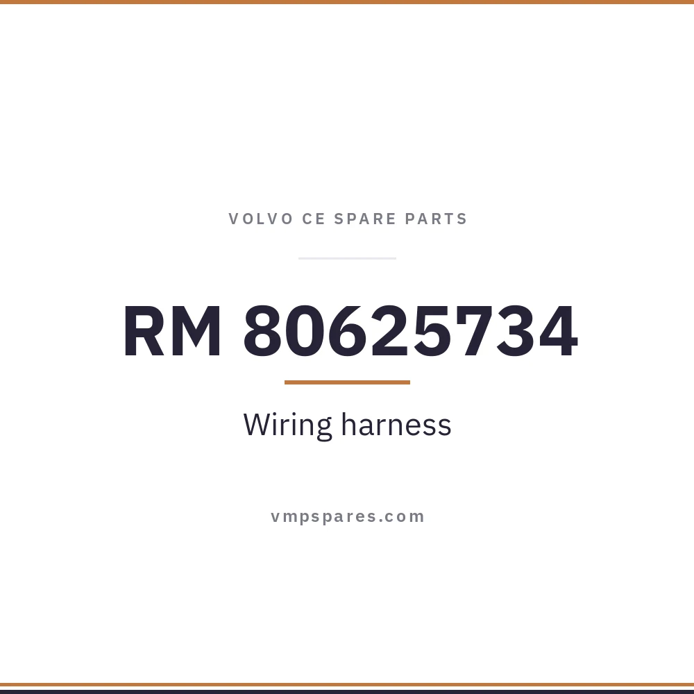 RM 80625734 – Wiring harness