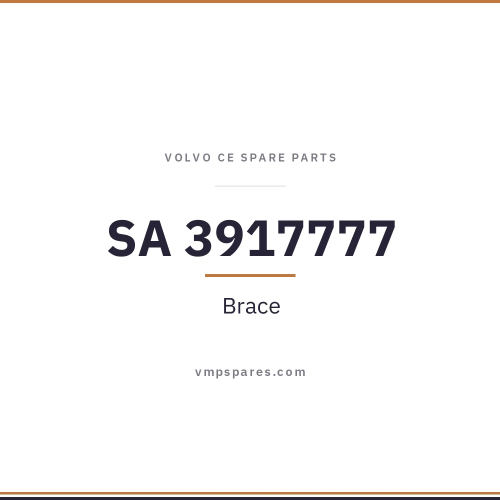 SA 3917777 – Brace
