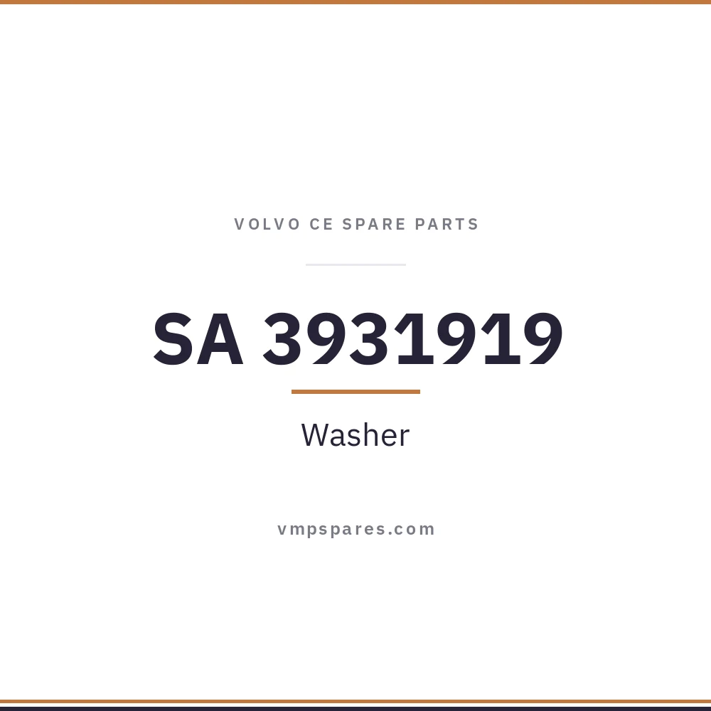 SA 3931919 – Washer