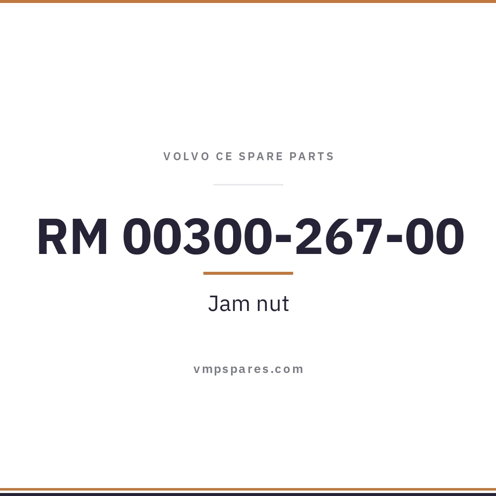 RM 00300-267-00 – Jam nut