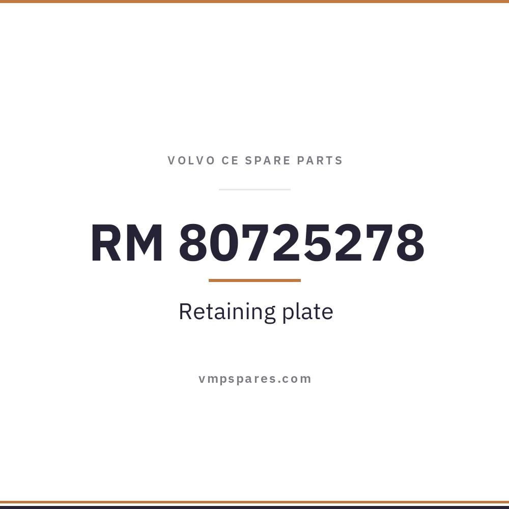 RM 80725278 – Retaining plate