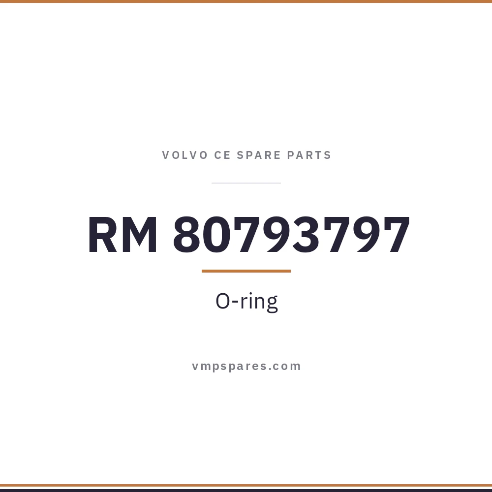 RM 80793797 – O-ring