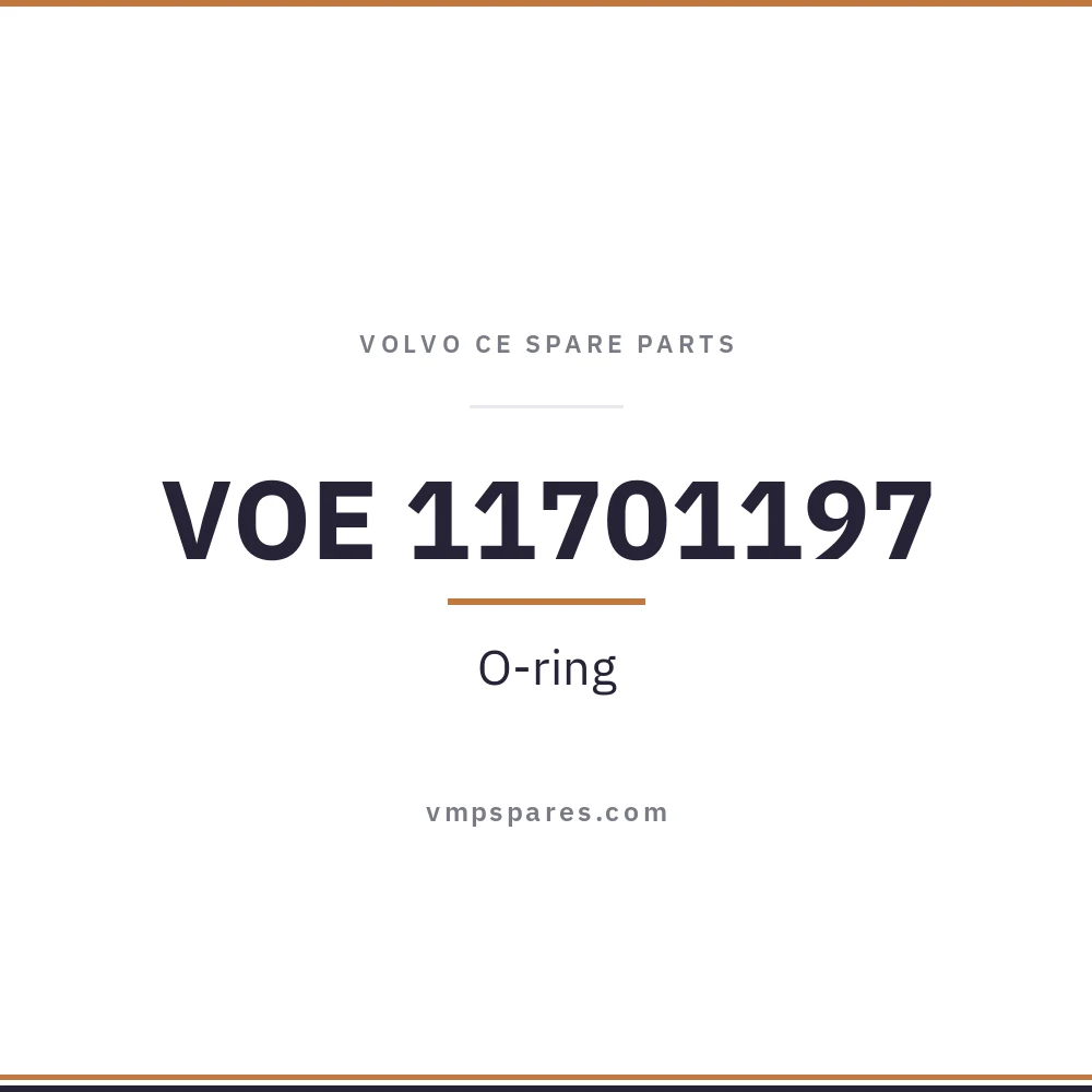 VOE 11701197 – O-ring