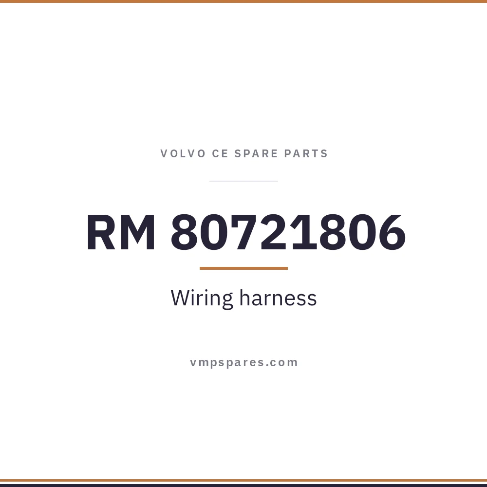 RM 80721806 – Wiring harness