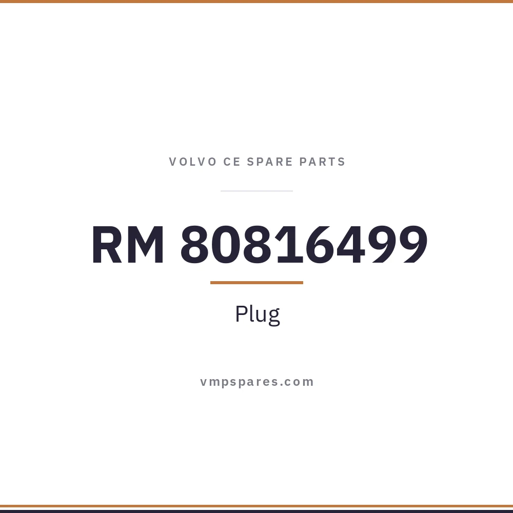 RM 80816499 – Plug