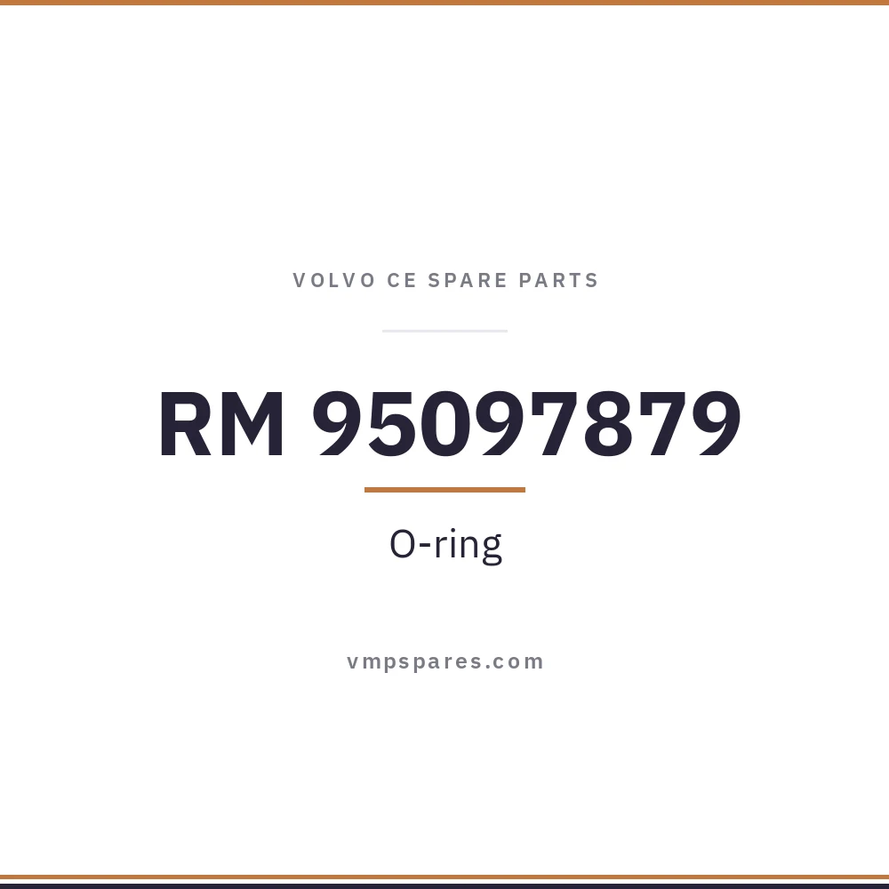 RM 95097879 – O-ring