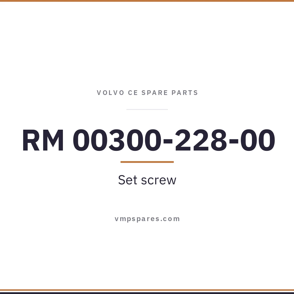 RM 00300-228-00 – Set screw