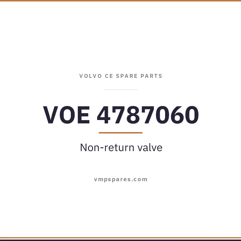 VOE 4787060 – Non-return valve