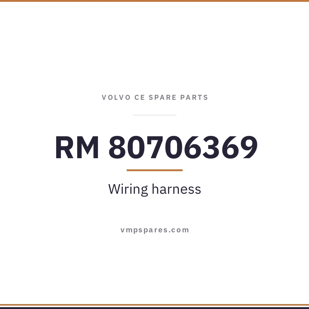RM 80706369 – Wiring harness