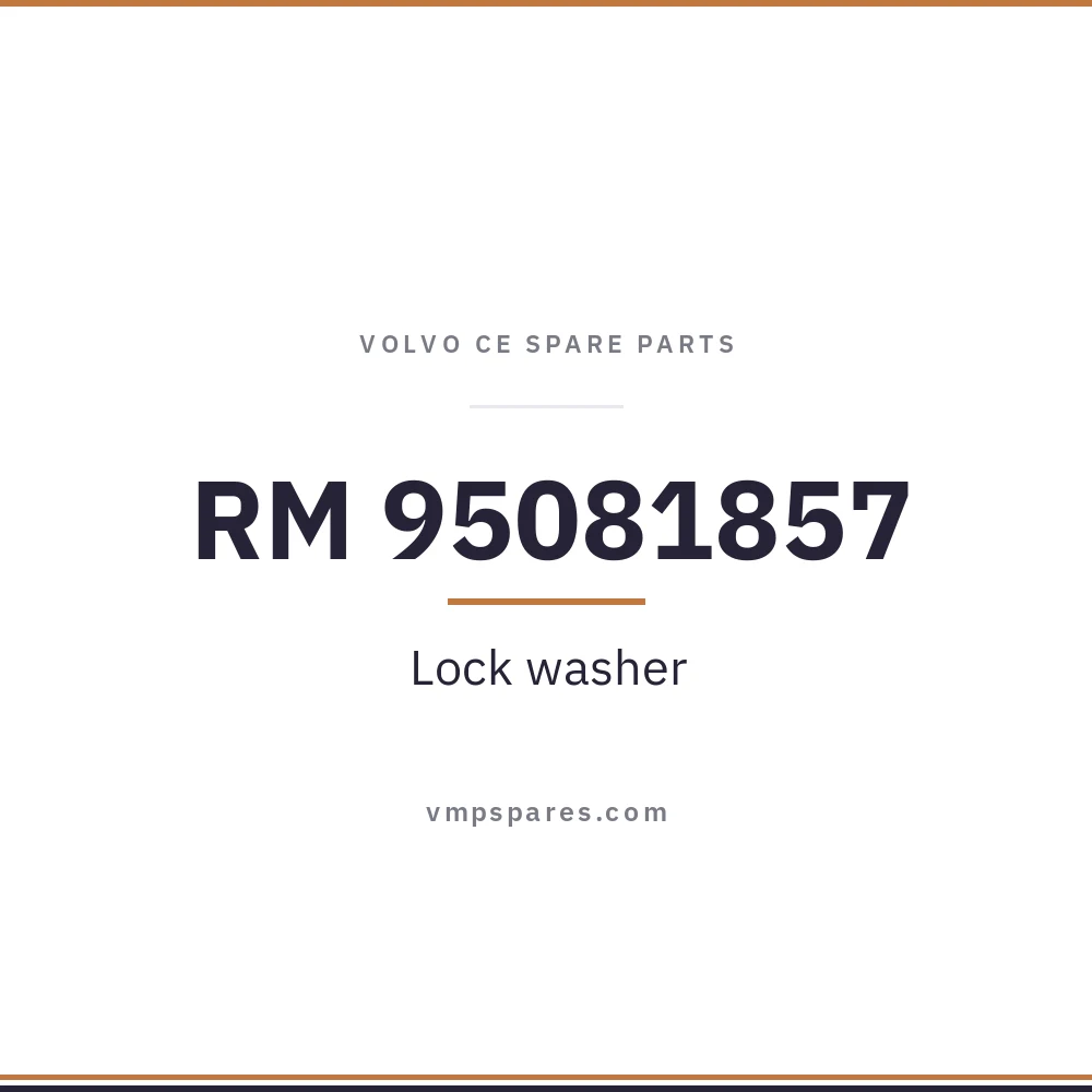 RM 95081857 – Lock washer
