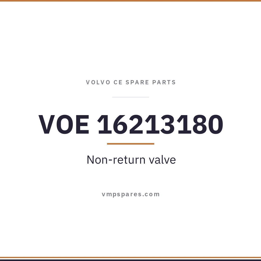 VOE 16213180 – Non-return valve