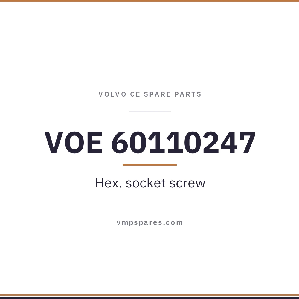 VOE 60110247 – Hex. socket screw