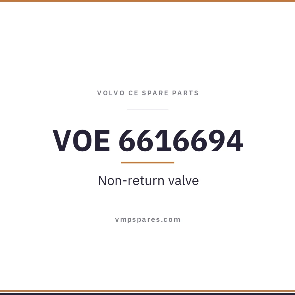 VOE 6616694 – Non-return valve