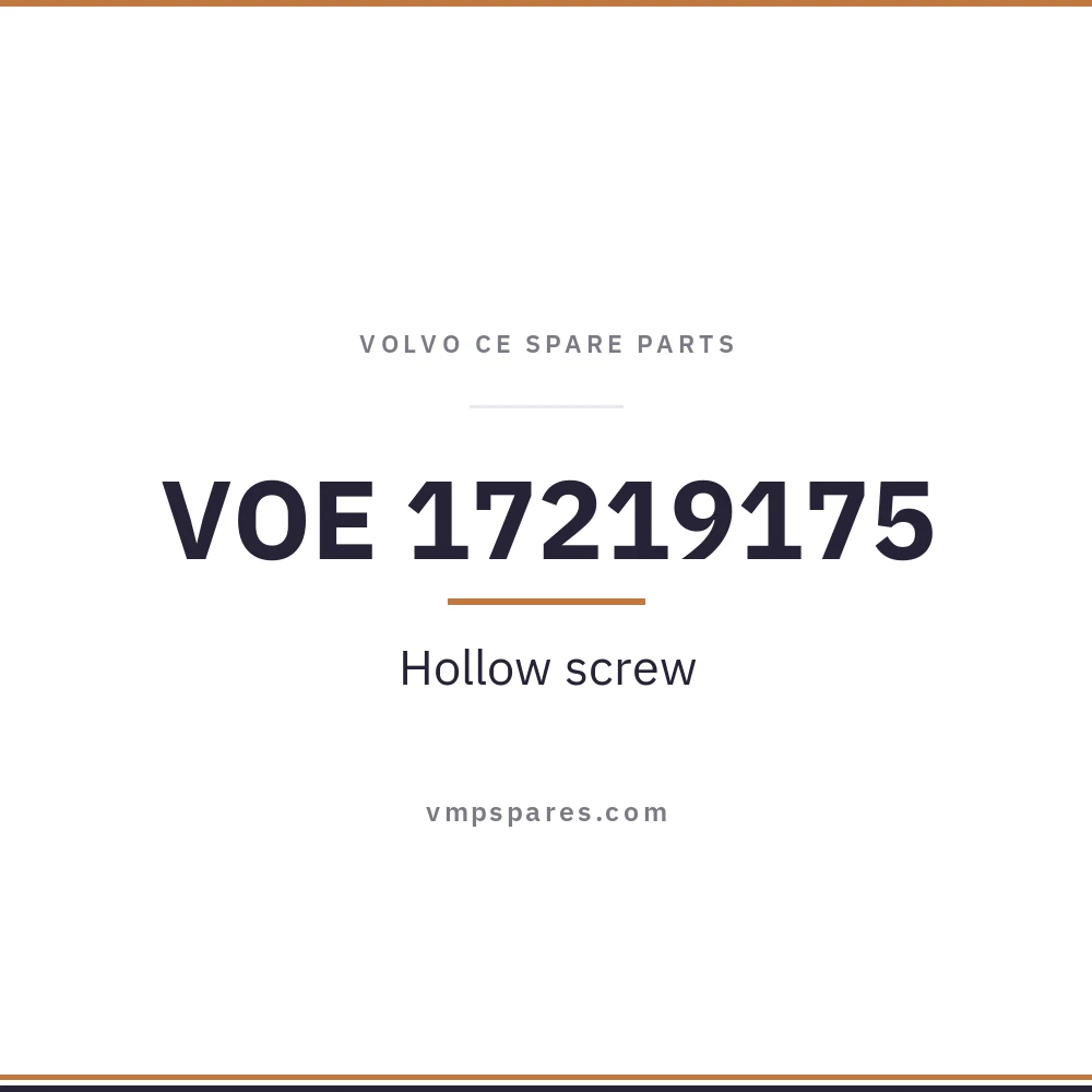 VOE 17219175 – Hollow screw
