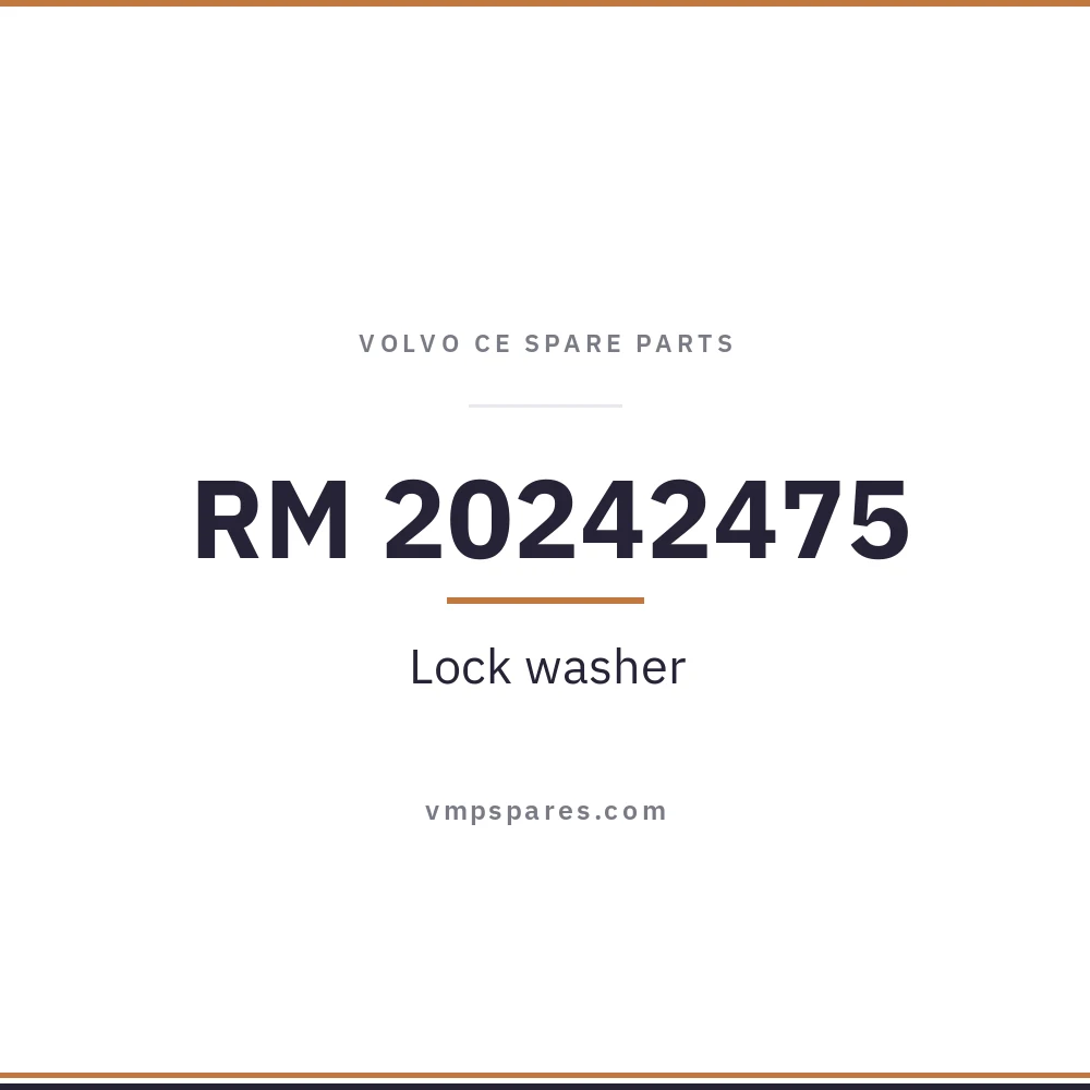 RM 20242475 – Lock washer