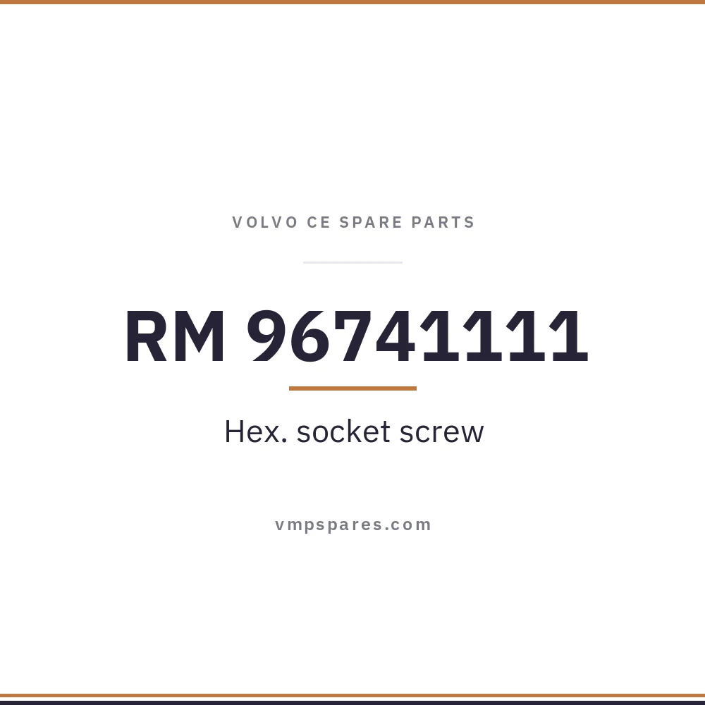 RM 96741111 – Hex. socket screw