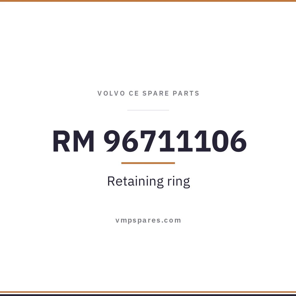 RM 96711106 – Retaining ring