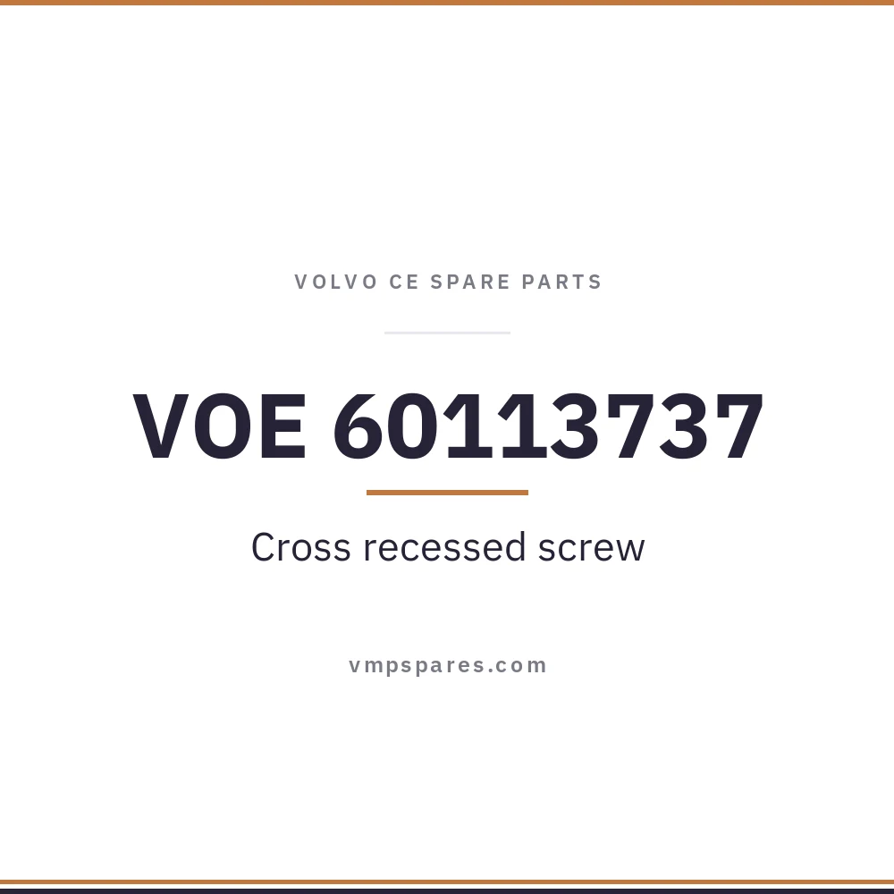 VOE 60113737 – Cross recessed screw