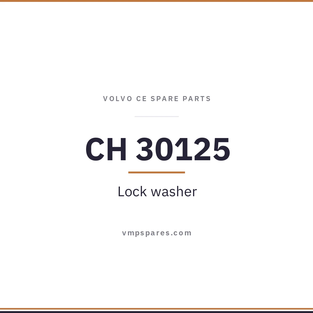 CH 30125 – Lock washer
