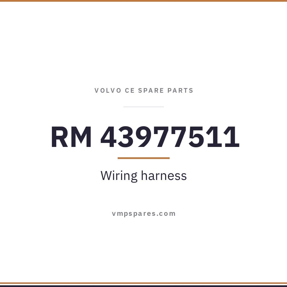 RM 43977511 – Wiring harness