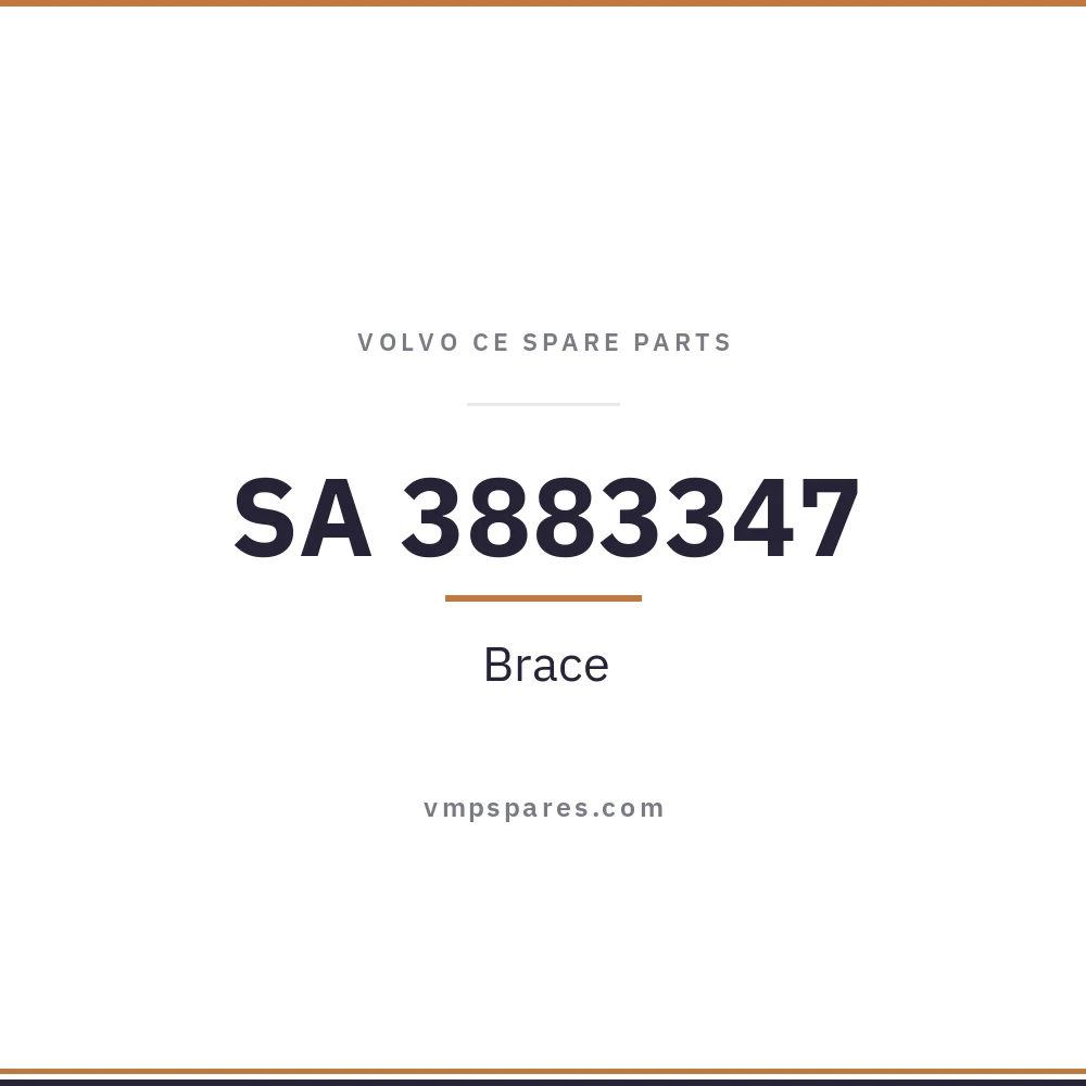 SA 3883347 – Brace