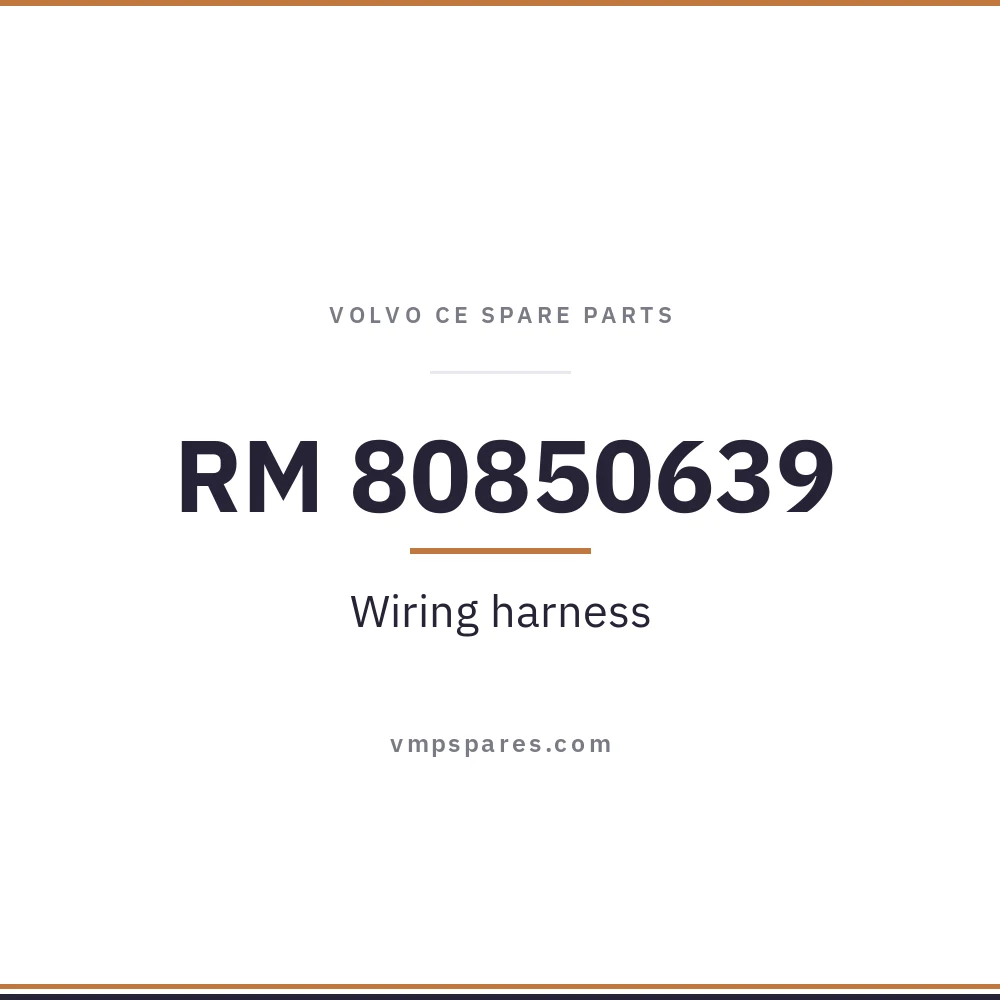 RM 80850639 – Wiring harness