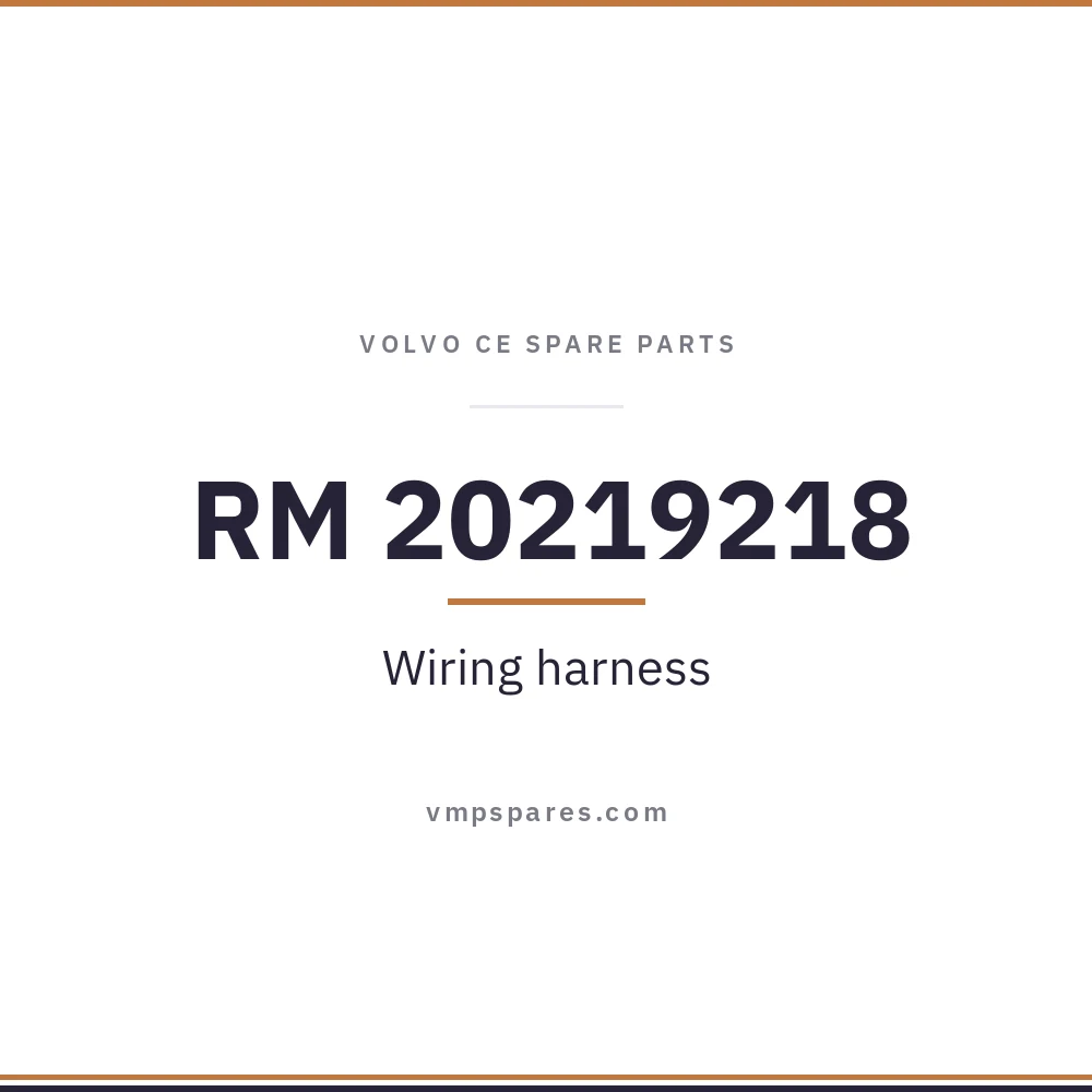RM 20219218 – Wiring harness