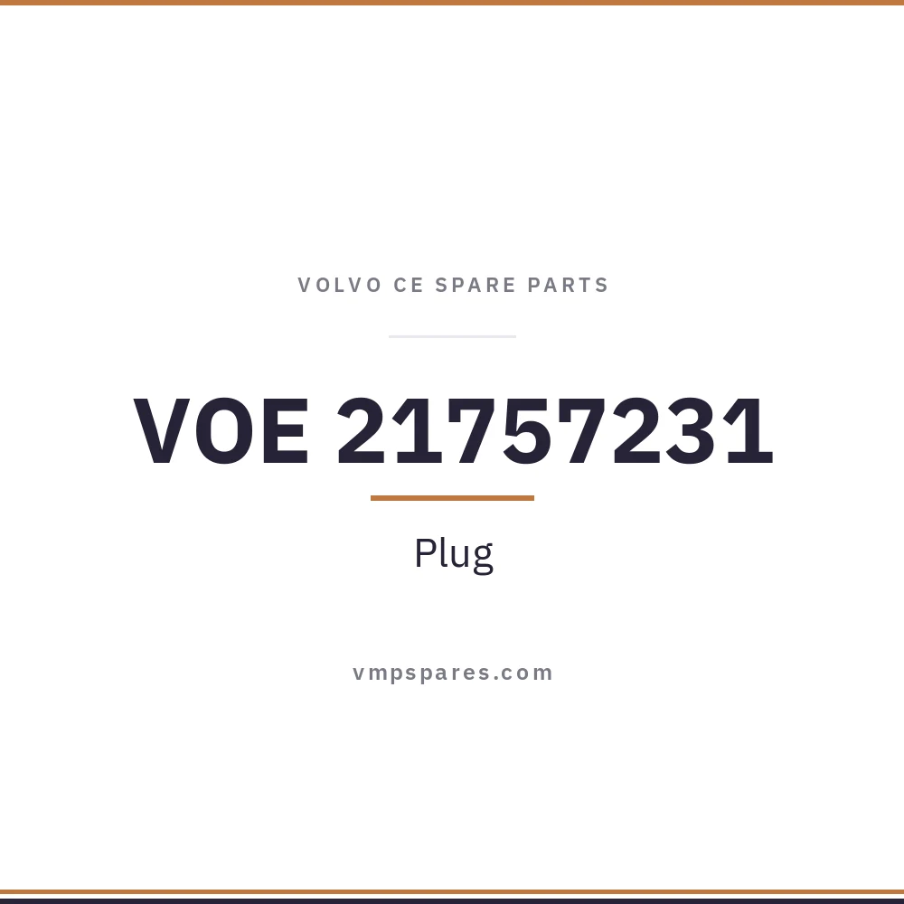 VOE 21757231 – Plug