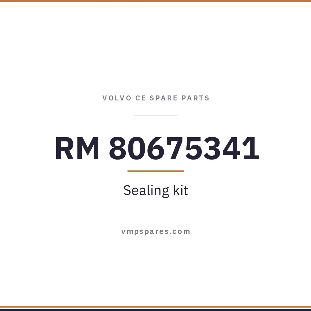 RM 80675341 – Sealing kit