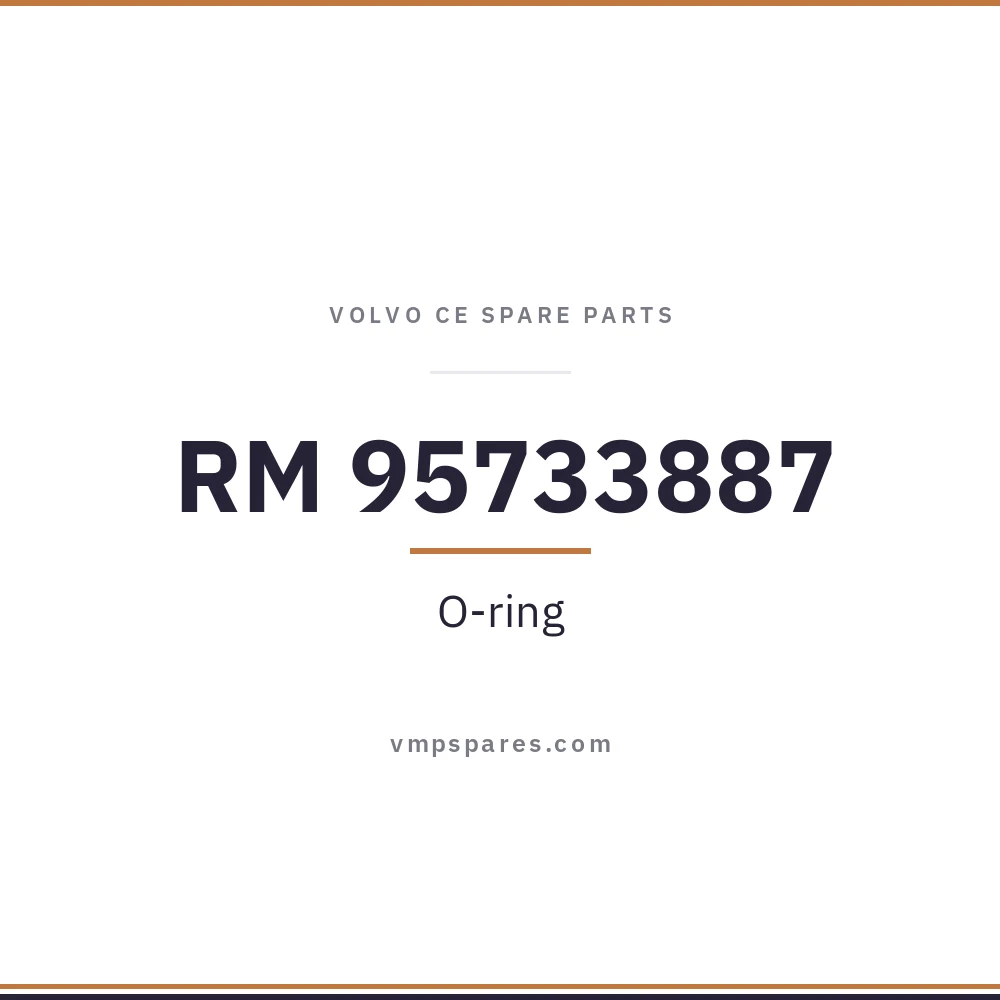 RM 95733887 – O-ring