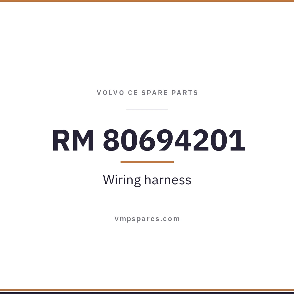 RM 80694201 – Wiring harness