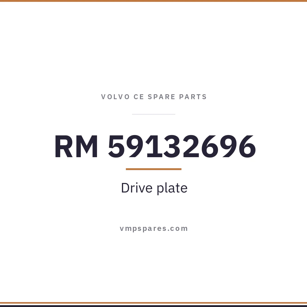 RM 59132696 – Drive plate