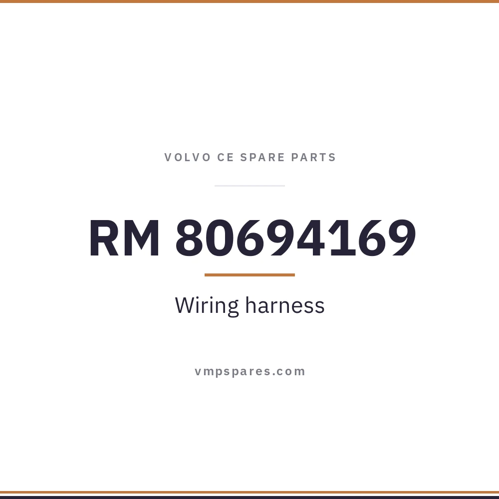 RM 80694169 – Wiring harness